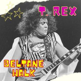 T  Rex - Beltane Walk (2022) FLAC [PMEDIA] ⭐️