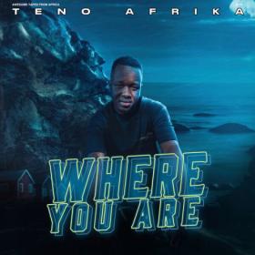 Teno Afrika - Where You Are (+ Bonus) (2022) [16Bit-44.1kHz] FLAC [PMEDIA] ⭐️