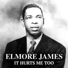 Elmore James - It Hurts Me Too (2022) FLAC [PMEDIA] ⭐️