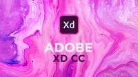 Adobe XD 55.2.12 x64 Multilingual Pre Activated