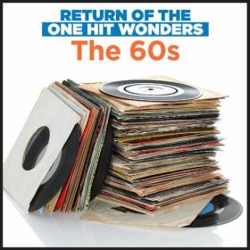 Various Artists - Return Of The One Hit Wonders_ The 60's (2022) Mp3 320kbps [PMEDIA] ⭐️