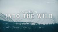 BBC Snow Dogs Into the Wild 1080p HDTV x265 AAC