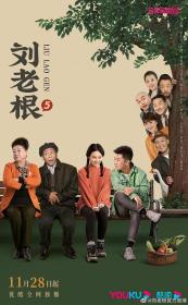 【高清剧集网 】刘老根5[第34-35集][国语配音+中文字幕] Liu Lao Gen S05 2022 60PFS 2160p WEB-DL H265 AAC-SeeWEB