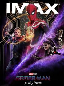 Spider-Man: No Way Home 2021 2160p IMAX WEB-DL TrueHD Atmos 7 1 HDR DoVi Hybrid P8 by DVT