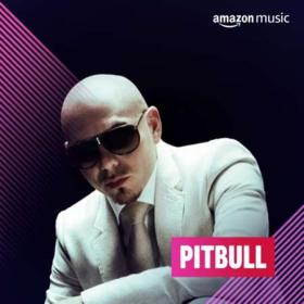 Pitbull - Collection (2004-2022) FLAC