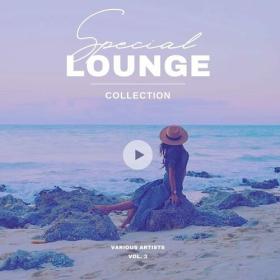 VA - Special Lounge Collection, Vol  3 (2023) MP3