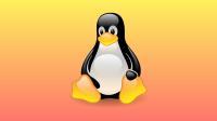 Linux Beginner Commands  Basics of Linux Command Line