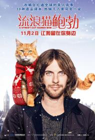 【首发于高清影视之家 】流浪猫鲍勃[国英多音轨+简繁英字幕] A Street Cat Named Bob 2016 BluRay 1080p DTS-HD MA 5.1 2Audio x265 10bit-DreamHD