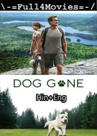 Dog Gone (2023) 480p WEB-HDRip Dual Audio [Hindi ORG (DDP2.0) + English] x264 AAC MSub By Full4Movies