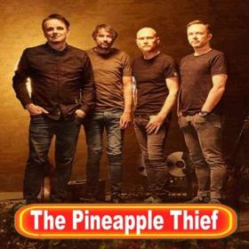 The Pineapple Thief - Collection (1999-2019) FLAC