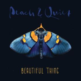 Peach & Quiet - 2023 - Beautiful Thing
