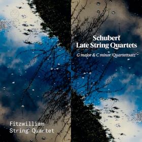 Schubert - Late String Quartets  G Major & C Minor 'Quartettsatz' - Fitzwilliam String Quartet (2021) [24-96]