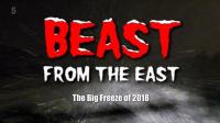 Ch5 Beast From The East 1080p HDTV x265 AAC