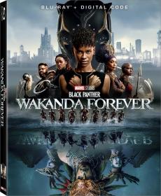 Black Panther Wakanda Forever 2022 1080p BluRay x265 10bit DTS-WiKi