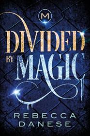 Divided By Magic series