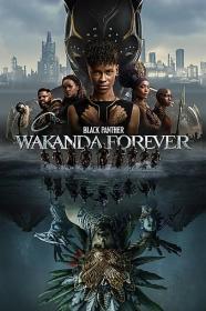 Black Panther Wakanda Forever 2022 1080p BluRay x265-RBG