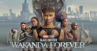 Black Panther - Wakanda Forever (2022)(1080p)(FHD)(x264)(BluRay)(Atmos-Multilang)(MultiSub) PHDTeam