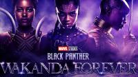 Black Panther Wakanda Forever 2022 2160p UHD BDRIP HDR x265 AAC-AOC