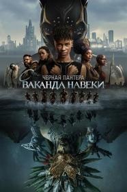 Black Panther Wakanda Forever 2022 IMAX 1080p_от New-Team