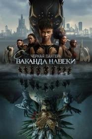 Black Panther Wakanda Forever 2022 D rus IMAX WEB-DLRip