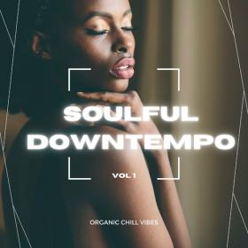 VA - Soulful Downtempo, Vol  1-2 [Organic Chill Vibes] (2022) MP3