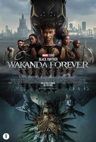 Black Panther - Wakanda Forever (2022) FullHD 1080p ITA E-AC3 ENG DTS+AC3 Subs