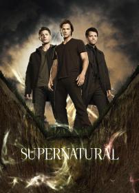 【高清剧集网 】邪恶力量 第七季[全23集][中文字幕] Supernatural S07 1080p AMZN WEB-DL DDP 2 0 H.264-BlackTV