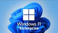 Windows 11 Enterprise 22H2 Build 22621