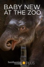 Baby New At The Zoo (2007) [720p] [WEBRip] [YTS]
