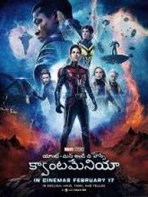 Ant-Man and the Wasp - Quantumania (2023) 1080p DVDScr x264 - [Telugu (HQ Clean) + Eng]
