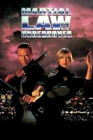 Martial Law II Undercover 1991 1080p BluRay x265-RBG