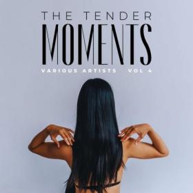 VA - The Tender Moments, Vol  4 (2023) MP3