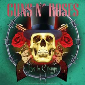 Guns N' Roses - Live in Chicago 1992 (2023) FLAC [PMEDIA] ⭐️