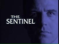 Sentinel Season 2