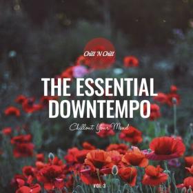 VA - The Essential Downtempo, Vol  3_ Chillout Your Mind (2022) [FLAC]