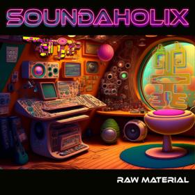 )2023 - Soundaholix - Raw Material