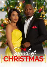 The Sound of Christmas 2022 1080p WEB-DL DDP2.0 x264-AOC