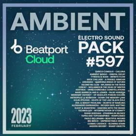 Beatport Ambient  Electro Sound Pack #597