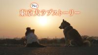[MagicStar] Tokyo Dog Love Story EP01 [WEBDL] [1080p] [AMZN]