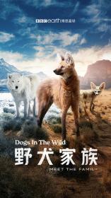 【首发于高清剧集网 】野犬家族[全3集][中文字幕] Dogs in the Wild_ Meet the Family 2022 1080p WEB-DL H264 AAC-Huawei