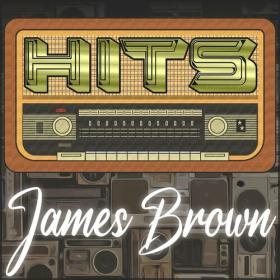 James Brown - Hits of James Brown (2023) Mp3 320kbps [PMEDIA] ⭐️