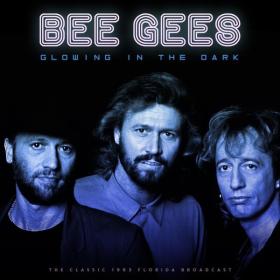 Bee Gees - Glowing In The Dark  (Live 1993) (2023) FLAC [PMEDIA] ⭐️