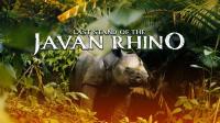 Last Stand of the Javan Rhino 1080p h264 AAC MVGroup Forum