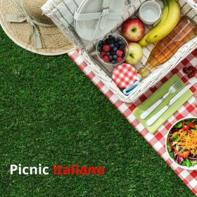 Various Artists - Picnic italiano (2023) Mp3 320kbps [PMEDIA] ⭐️