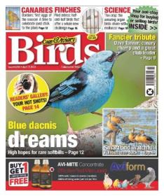 Cage & Aviary Birds - Issue 6258, April 5, 2023
