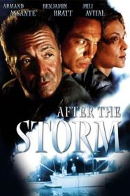 After The Storm (2001) [1080p] [WEBRip] [5.1] [YTS]