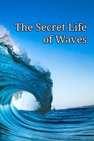 The Secret Life Of Waves (2011) [1080p] [WEBRip] [YTS]
