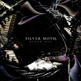 Silver Moth - 2023 - Black Bay (2023) [24Bit-48kHz] FLAC [PMEDIA] ⭐️