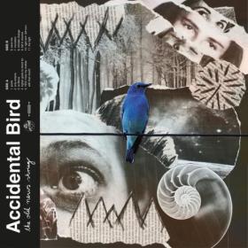 Accidental Bird - the old news shrug (2023) [24Bit-44.1kHz] FLAC [PMEDIA] ⭐️