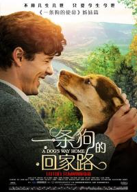【高清影视之家首发 】一条狗的回家路[中文字幕] A Dog's Way Home 2019 BluRay 1080p DTS-HDMA 5.1 x265 10bit-DreamHD